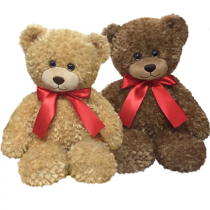 Spencer Bear
