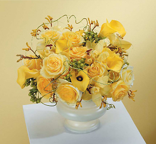 Sunshine On A Cloudy Day