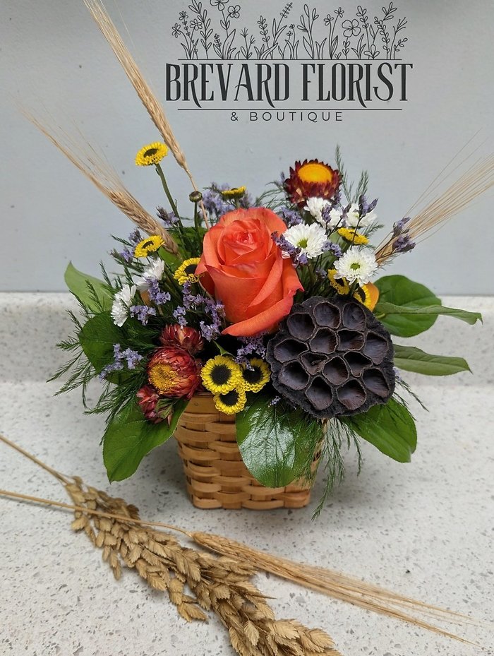Rustic Radiance