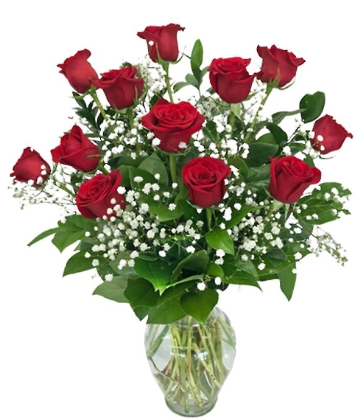 Roses- Red