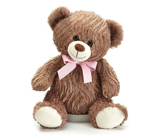 Wavy Bear