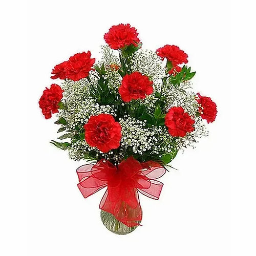 Vibrant Red Carnations