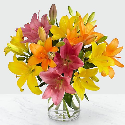 Colorful Lilies