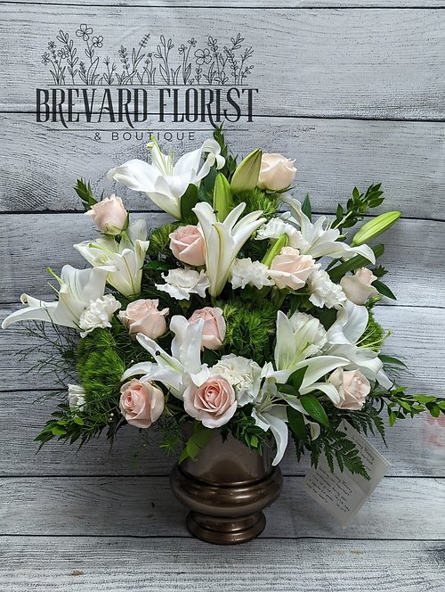 Loving Lily & Rose