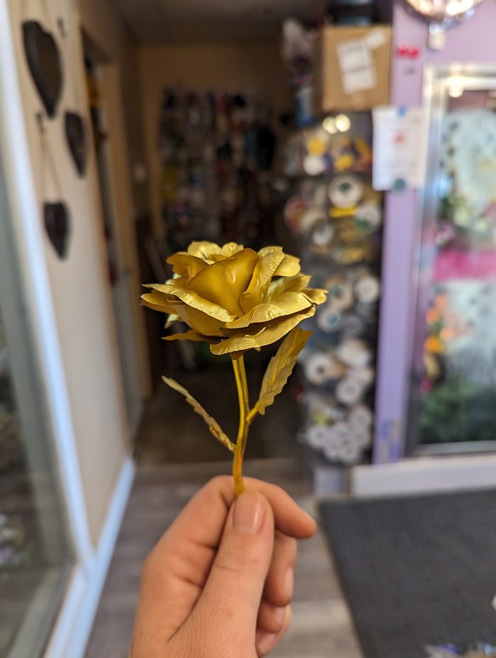 24k Gold Rose