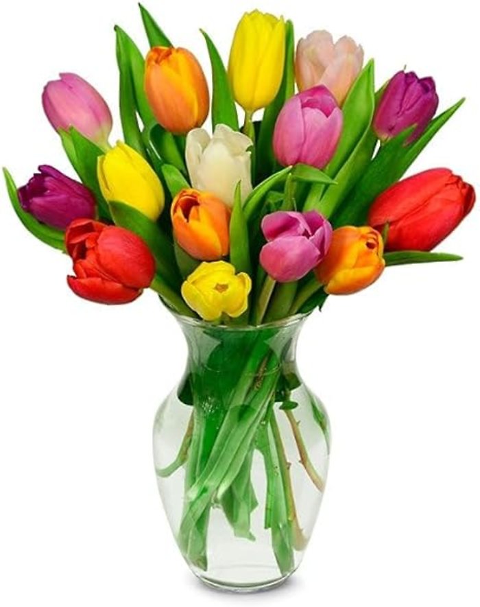 Mix Tulips