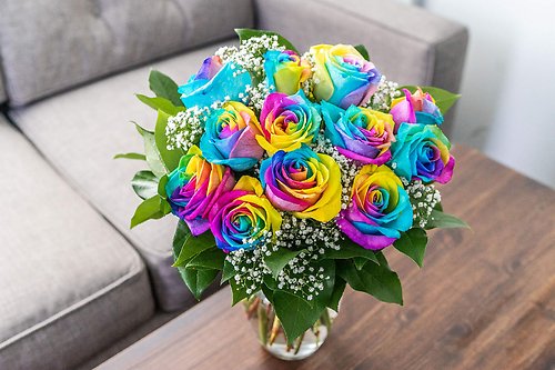 Rainbow Roses