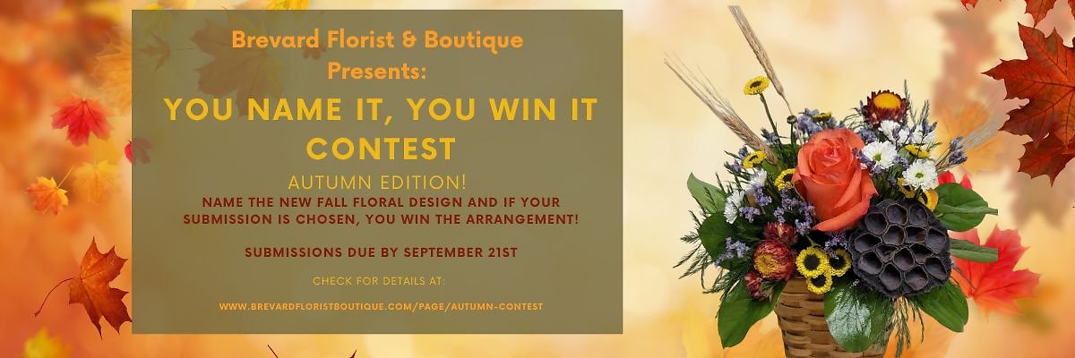 autumn contest