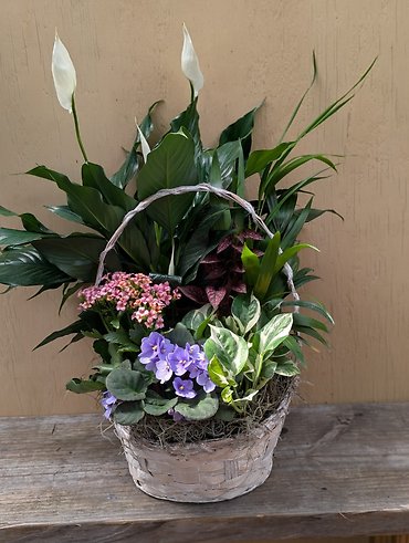 Blooming Basket