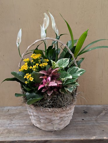 Blooming Basket