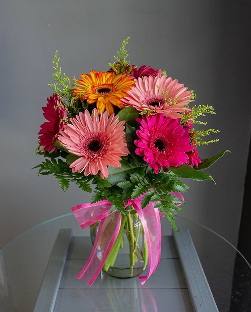 Summer Splash Daisies