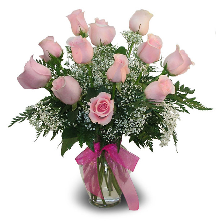 A Perfect Pink Dozen