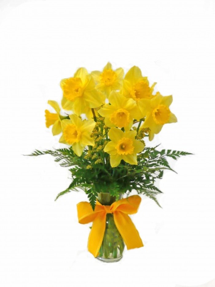 Delightful Daffodils