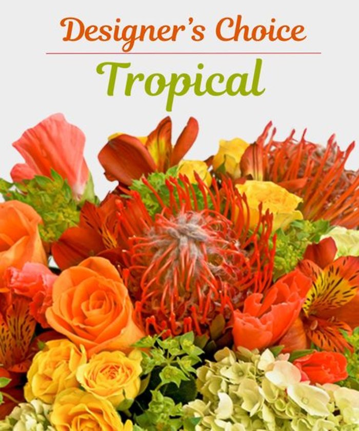 Designer\'s Choice- Tropical
