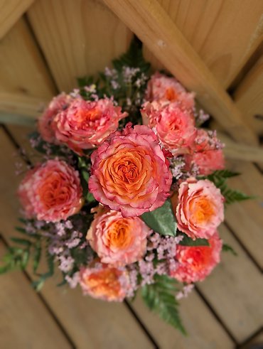 Free Spirit Roses