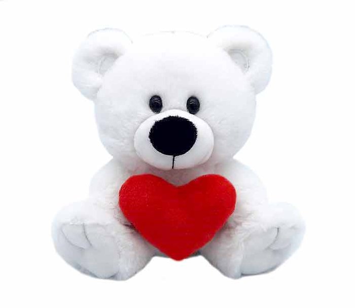 Teddy with Heart