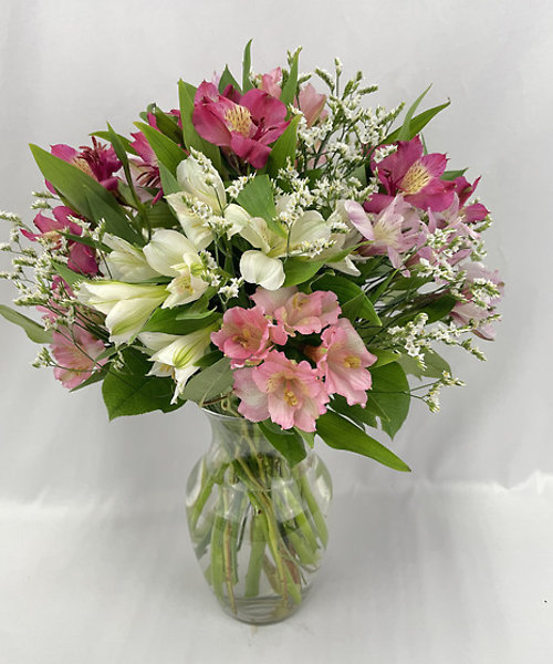 Alluring Alstroemeria